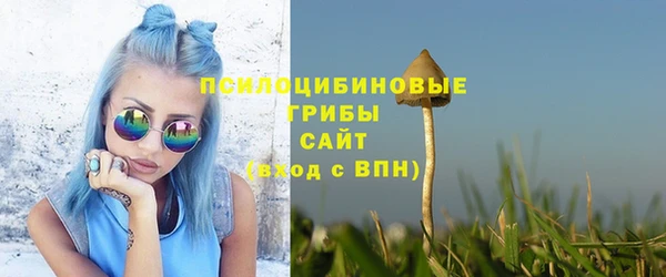 мдпв Бронницы