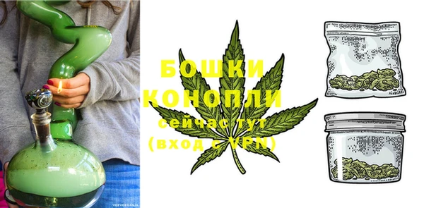 мдпв Бронницы