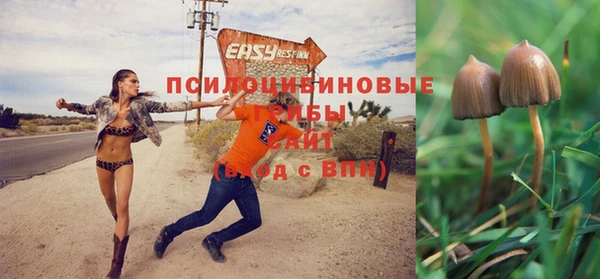 мдпв Бронницы