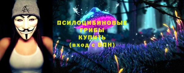 винт Бородино
